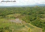 Chocolate Hills, Bohol